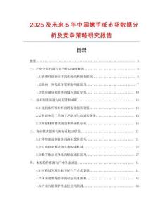 2025及未來5年中國擦手紙市場數(shù)據(jù)分析及競爭策略研究報告