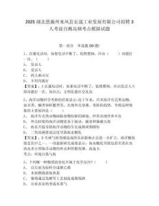 2025湖北恩施州來鳳縣宏晟工業發展有限公司招聘3人考前自測高頻考點模擬試題完整參考答案詳解
