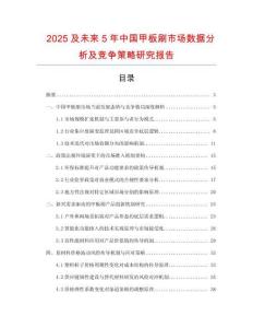 2025及未來5年中國甲板刷市場數據分析及競爭策略研究報告