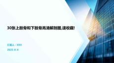 30張上肢骨和下肢骨高清解剖圖速收藏!