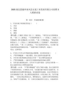 2025湖北恩施州來鳳縣宏晟工業發展有限公司招聘3人模擬試卷及答案詳解（奪冠）