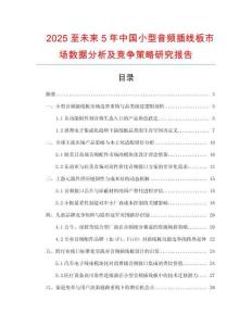2025至未來5年中國小型音頻插線板市場數據分析及競爭策略研究報告