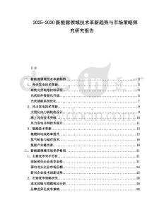 2025-2030新能源領域技術(shù)革新趨勢與市場策略探究研究報告