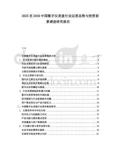 2025至2030中國數字儀表盤行業運營態勢與投資前景調查研究報告