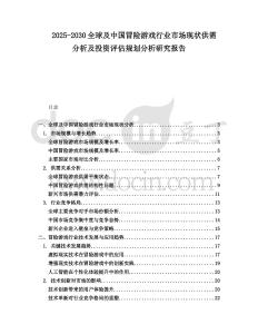 2025-2030全球及中國冒險游戲行業市場現狀供需分析及投資評估規劃分析研究報告