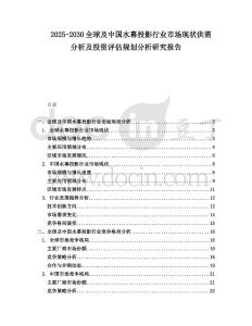 2025-2030全球及中國水幕投影行業(yè)市場現(xiàn)狀供需分析及投資評估規(guī)劃分析研究報告