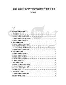 2025-2030鞋業(yè)產(chǎn)銷平衡詳情研究資產(chǎn)配置前景研究方案