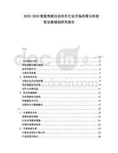 2025-2030智能駕駛自動泊車行業(yè)市場供需分析投資發(fā)展規(guī)劃研究報(bào)告
