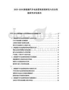 2025-2030新能源汽車電池管理系統研發與安全性能研究評估報告