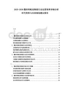 2025-2030墨西哥配送物流行業運營效率詳細分析時代變革與未來規劃建議報告