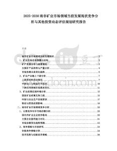 2025-2030南非礦業市場領域當前發展現狀競爭分析與其他投資動態評估規劃研究報告