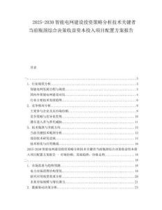 2025-2030智能電網(wǎng)建設投資策略分析技術關鍵者當前瓶頸綜合決策收益資本投入項目配置方案報告