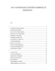 2025-2030特種設備安全監(jiān)管政策與檢測檢驗行業(yè)發(fā)展現(xiàn)狀研究