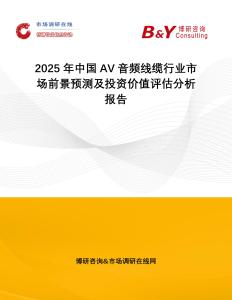 2025年中國AV音頻線纜行業市場前景預測及投資價值評估分析報告
