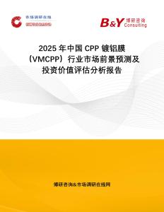 2025年中國CPP 鍍鋁膜（VMCPP）行業(yè)市場前景預測及投資價值評估分析報告