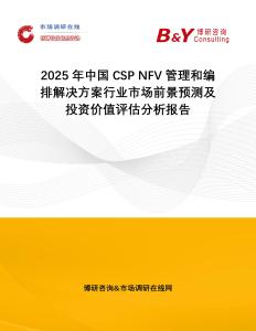 2025年中國CSP NFV管理和編排解決方案行業市場前景預測及投資價值評估分析報告