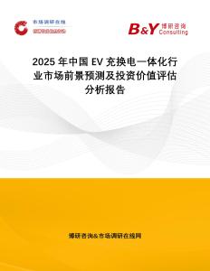2025年中國EV充換電一體化行業市場前景預測及投資價值評估分析報告