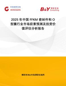 2025年中國FFKM密封件和O型圈行業(yè)市場前景預測及投資價值評估分析報告