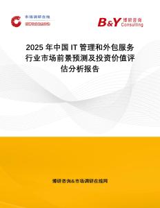 2025年中國IT管理和外包服務行業市場前景預測及投資價值評估分析報告