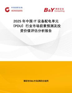 2025年中國IT設備配電單元（PDU）行業市場前景預測及投資價值評估分析報告