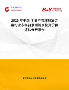 2025年中國IT資產管理解決方案行業市場前景預測及投資價值評估分析報告