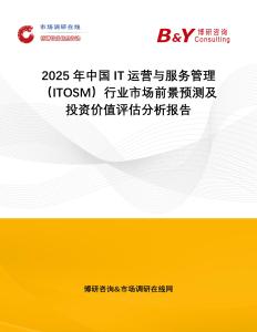 2025年中國IT運營與服務管理（ITOSM）行業市場前景預測及投資價值評估分析報告