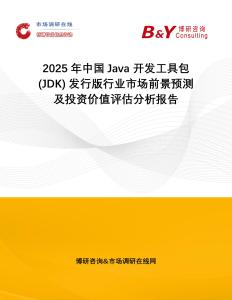 2025年中國Java 開發工具包 (JDK) 發行版行業市場前景預測及投資價值評估分析報告