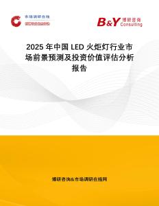 2025年中國LED火炬燈行業(yè)市場(chǎng)前景預(yù)測(cè)及投資價(jià)值評(píng)估分析報(bào)告