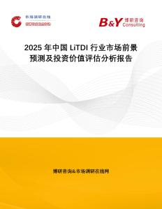 2025年中國LiTDI行業市場前景預測及投資價值評估分析報告