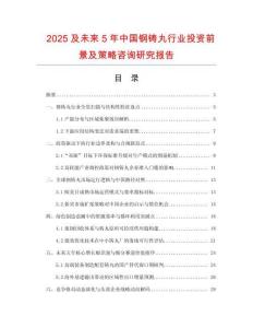 2025及未來5年中國(guó)鋼鑄丸行業(yè)投資前景及策略咨詢研究報(bào)告