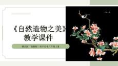 《自然造物之美》教學(xué)課件-2025-2026學(xué)年贛美版（新教材）初中美術(shù)八年級上冊