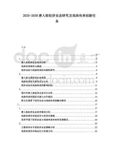 2025-2030唐人街經濟業態研究及戲曲傳承創新任務