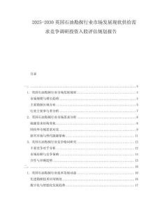 2025-2030英國石油勘探行業市場發展現狀供給需求競爭調研投資入股評估規劃報告