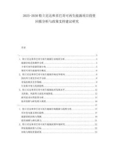 2025-2030特立尼達和多巴哥可再生能源項目投資回報分析與政策支持建議研究