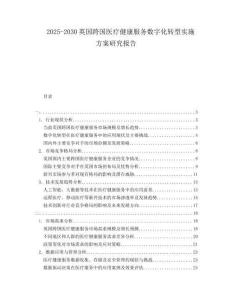 2025-2030英國跨國醫(yī)療健康服務(wù)數(shù)字化轉(zhuǎn)型實(shí)施方案研究報告