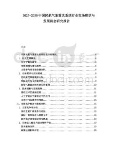 2025-2030中國民航氣象雷達(dá)系統(tǒng)行業(yè)市場現(xiàn)狀與發(fā)展機(jī)會研究報告