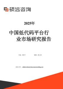 2025年中國低代碼平臺行業(yè)市場研究報告