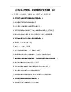 2025年上學(xué)期高一化學(xué)同伴互評參考試題（二）