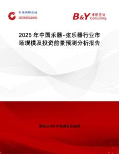 2025年中國(guó)樂器-弦樂器行業(yè)市場(chǎng)規(guī)模及投資前景預(yù)測(cè)分析報(bào)告