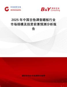 2025年中國(guó)吉他調(diào)音踏板行業(yè)市場(chǎng)規(guī)模及投資前景預(yù)測(cè)分析報(bào)告