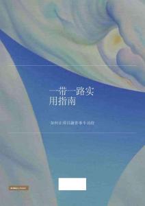 2025年一帶一路實用指南報告-金杜律師事務所