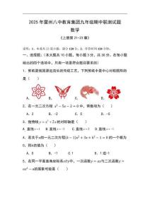 2025年雷州八中教育集團九年級數學聯測題