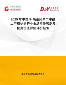 2025年中國5-磺基間苯二甲酸二甲酯鈉鹽行業(yè)市場前景預(yù)測及投資價(jià)值評估分析報(bào)告