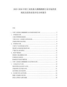 2025-2030中國(guó)工業(yè)機(jī)器人踢踢踏踏行業(yè)市場(chǎng)供需現(xiàn)狀及投資前景評(píng)估分析報(bào)告
