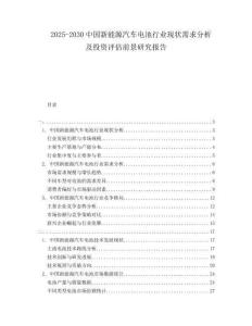 2025-2030中國(guó)新能源汽車電池行業(yè)現(xiàn)狀需求分析及投資評(píng)估前景研究報(bào)告