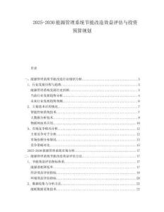 2025-2030能源管理系統(tǒng)節(jié)能改造效益評估與投資預算規(guī)劃