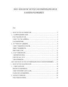 2025-2030南非礦業開發行業市場供需態勢分析及行業投資評估規劃報告