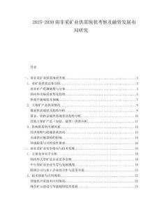 2025-2030南非采礦業供需現狀考察及融資發展布局研究