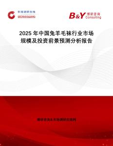 2025年中國兔羊毛襪行業市場規模及投資前景預測分析報告