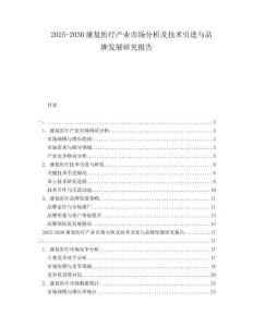 2025-2030康復(fù)醫(yī)療產(chǎn)業(yè)市場(chǎng)分析及技術(shù)引進(jìn)與品牌發(fā)展研究報(bào)告